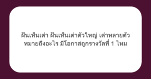 ฝันเห็นเต่า ฝันเห็นเต่าตัวใหญ่ เต่าหลายตัว หมายถึงอะไร มีโอกาสถูกรางวัลที่ 1 ไหม