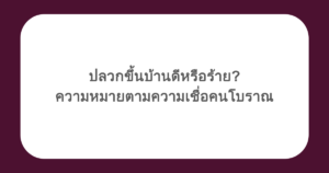 ปลวกขึ้นบ้านดีหรือร้าย? ความหมายตามความเชื่อคนโบราณ